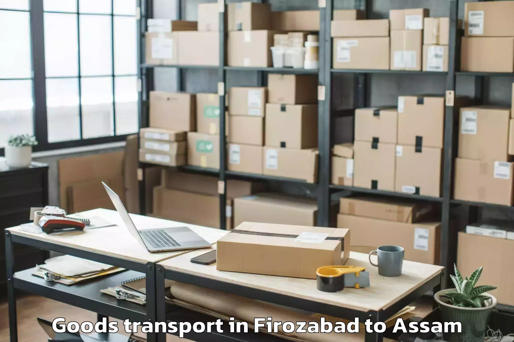 Book Your Firozabad to Dhakuakhana Pt Goods Transport Today